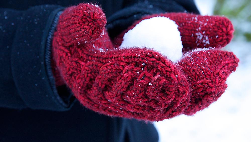 Antler Mittens