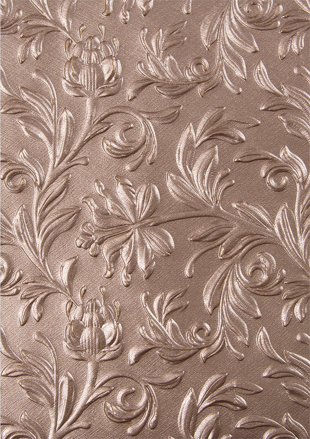Sizzix 3D Texture Fades Embossing Folder By Tim Holtz - Botanical