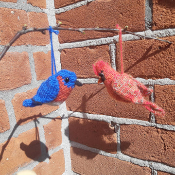 North American Birds