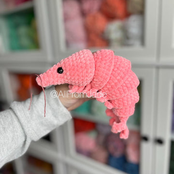 Caroline the Shrimp