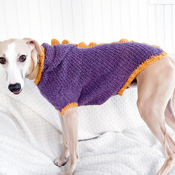 Doggo 16 dragon sweater