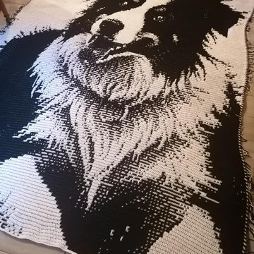Overlay Mosaic "BORDER COLLIE 2"