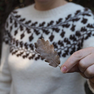 Squirrel Nest Sweater