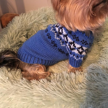 Yoke Dog Sweater
