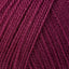 Fuchsia (7)