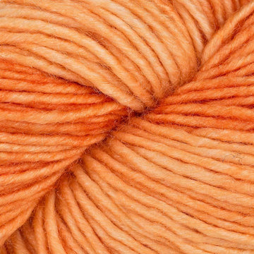 Camote (SM404)
