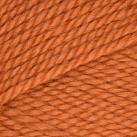 Pumpkin (77605)