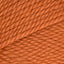 Pumpkin (77605)