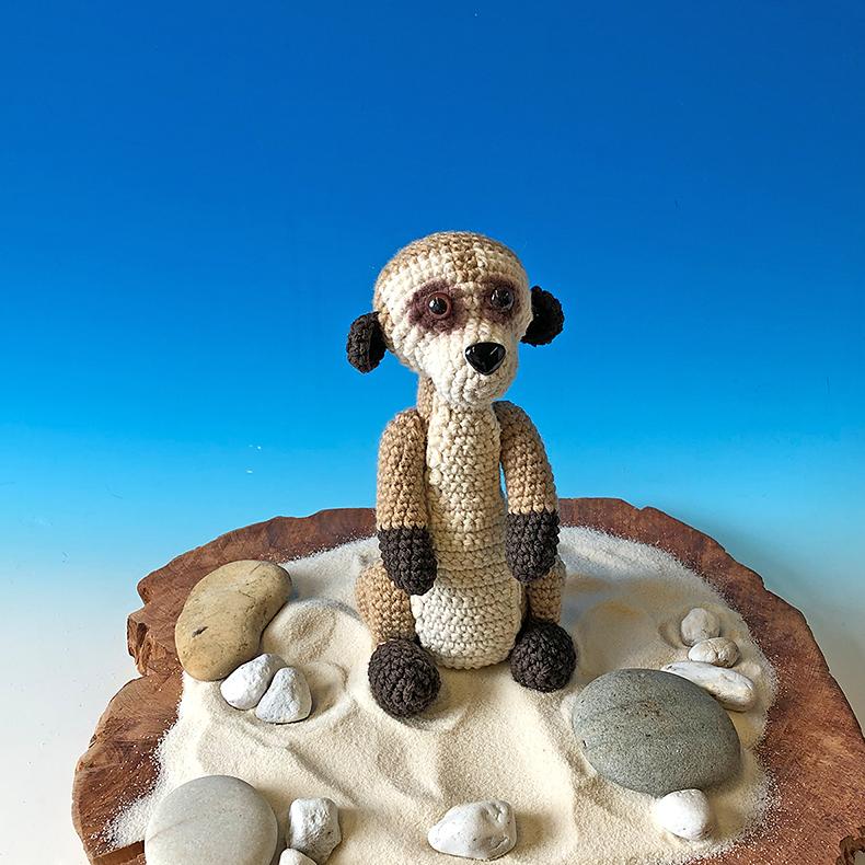 Erdmännchen Enno