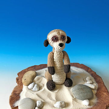 Erdmännchen Enno