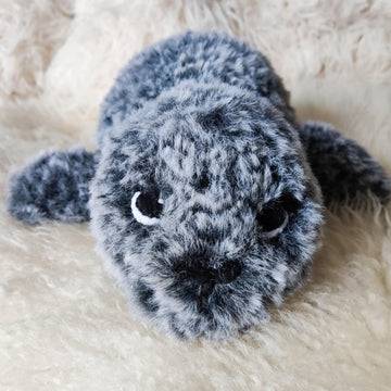 Henry the Harbour Seal