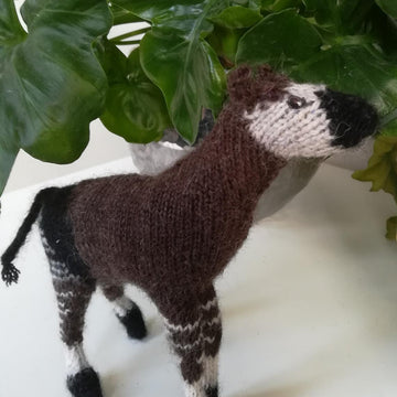 Okapi