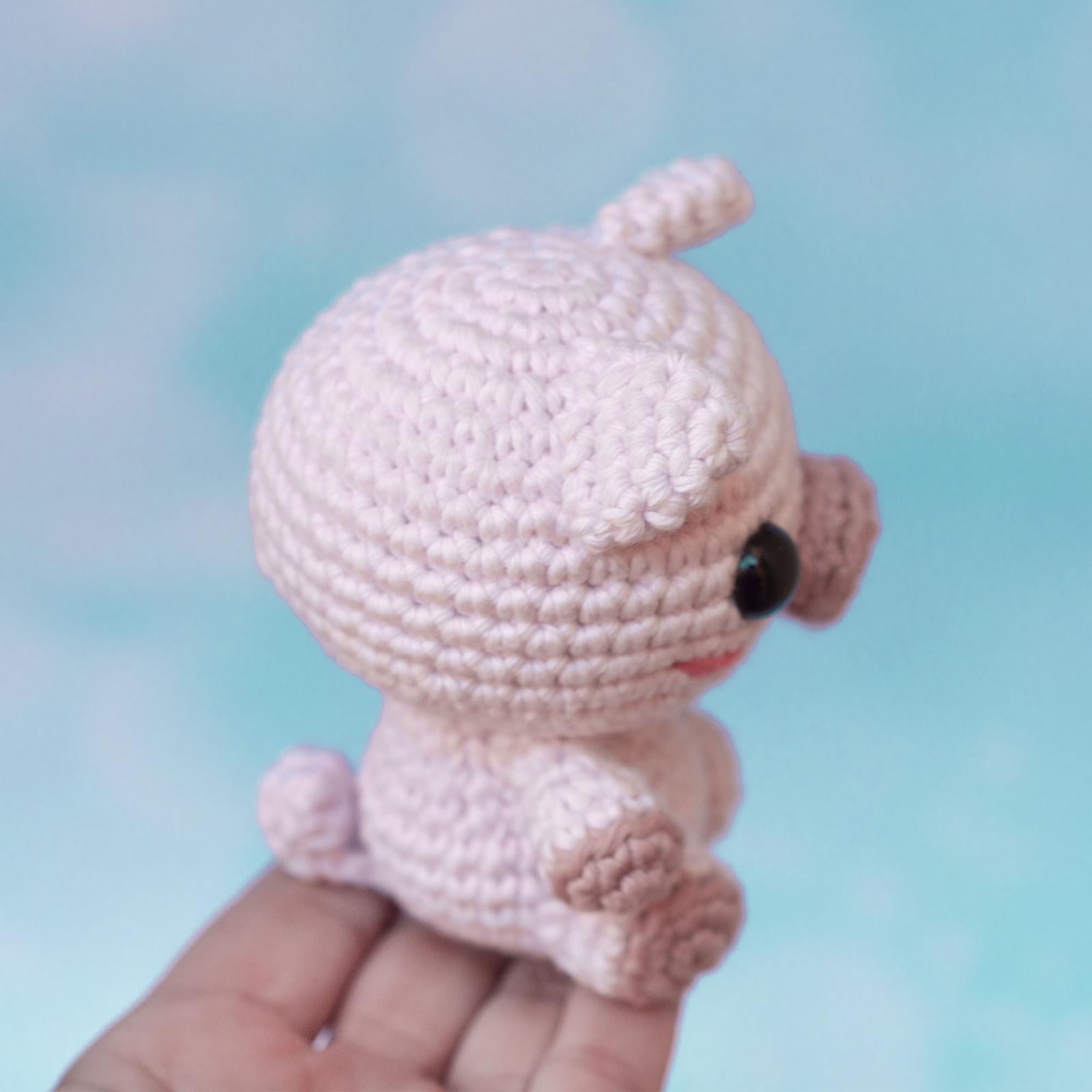Baby pig