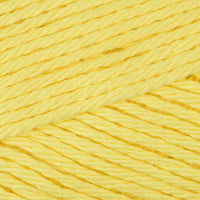 Sunshine (18622)