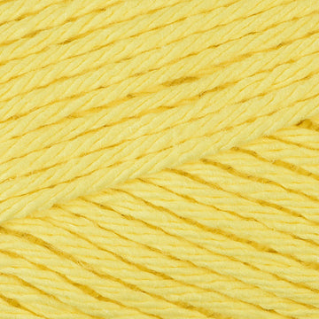 Sunshine (18622)