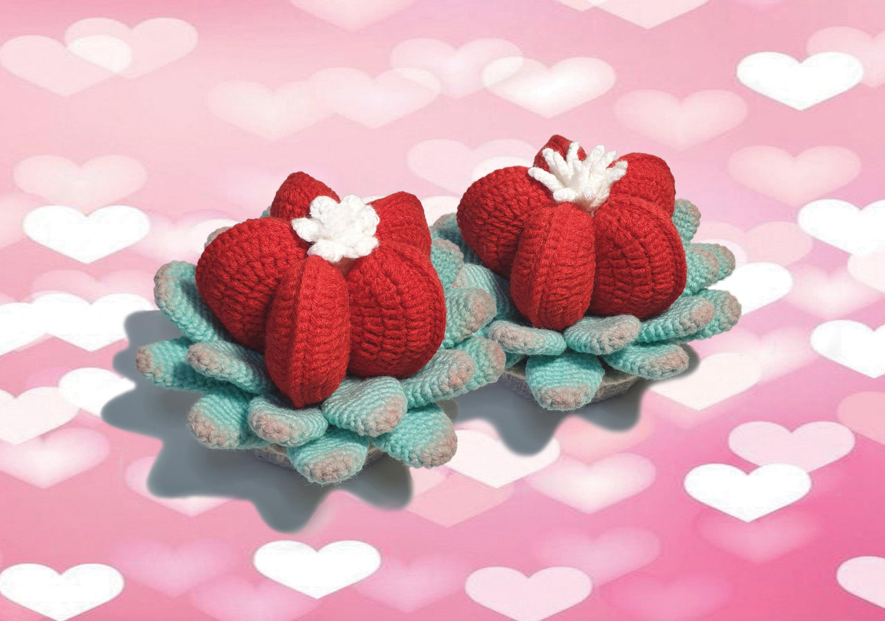 Heart Shaped succulent