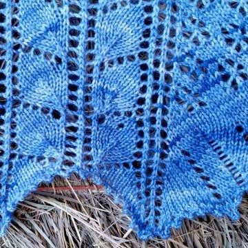 Darlin' Clementine Shawl