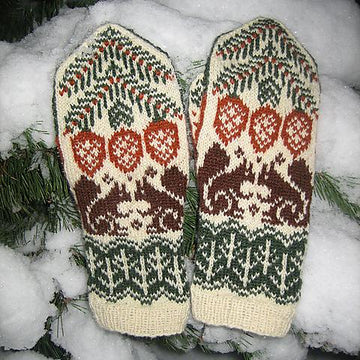 Pine Squirrels