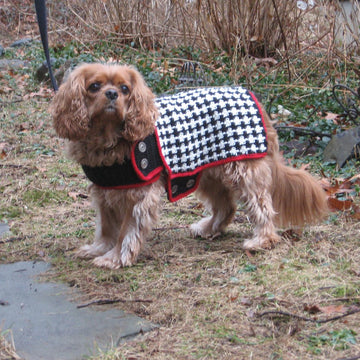 The Hound of the Baskervilles Dog Coat