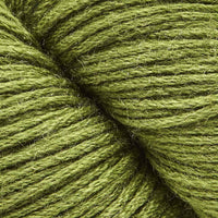 Fern Green (166)