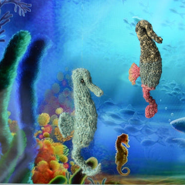 Seahorse