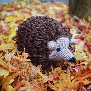 Hector the Hedgehog