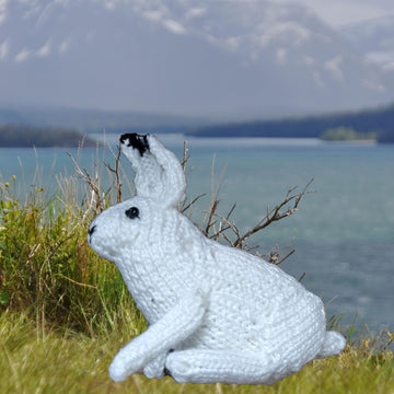 Arctic Animals