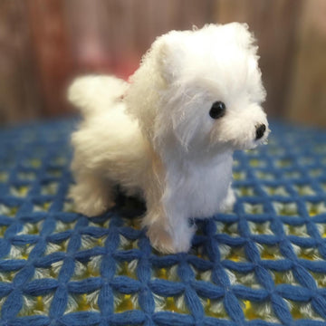 Realistic Dog Spitz