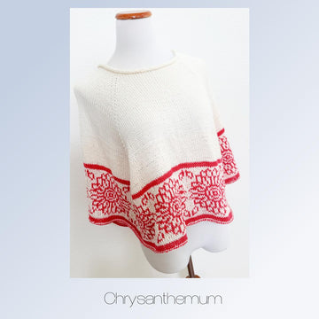 Chrysanthemum poncho