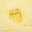 Vanille (00022)
