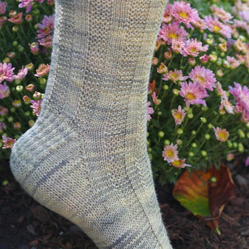 Not Just Boring Dad Socks