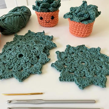 #358 Succulent Coaster Set