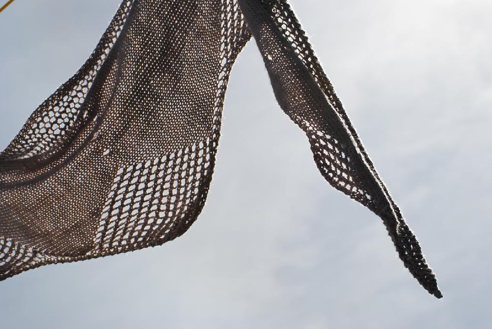 Crocodilian Shawlette