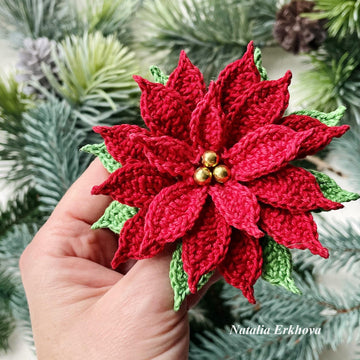 Poinsettia (Christmas Star)