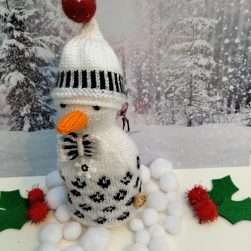 Cool Snowman
