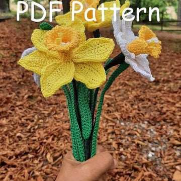 Daffodil or Narciscus flower