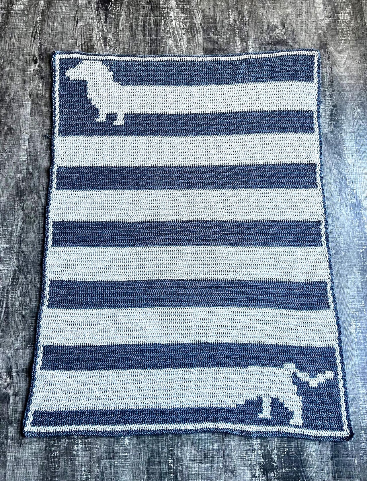 Dachshund Blanket