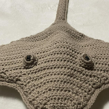 Sea Creatures Stingray