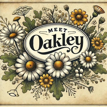 Bunny 'Oakley'