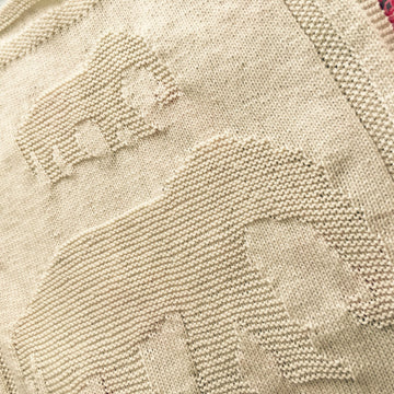 Elephant Blanket