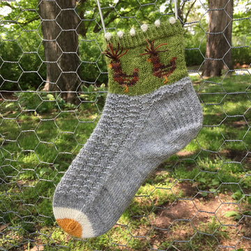 Funky Polish Chicken Socks