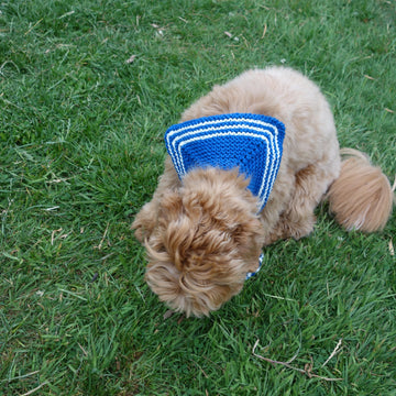 Dog Sailor Scarf