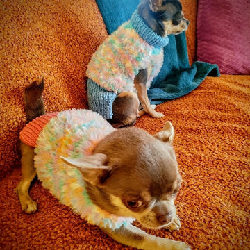 Pull Yeti pour petits chiens