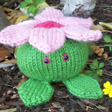 Flower Dude
