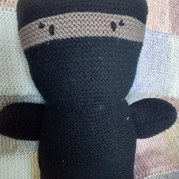 Nigel Ninja