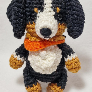 Bernese Mountain Dog