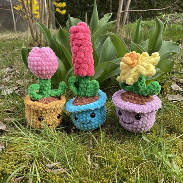 Potted Spring Flower