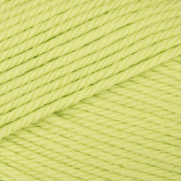 Lime (13)