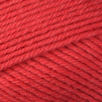 Raspberry (530)