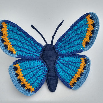 Karner Blue Butterfly